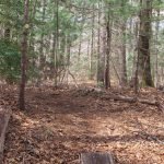 John Little Conservation Area