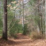 John Little Conservation Area