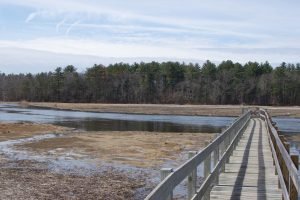 John Little Conservation Marshfield