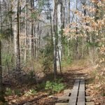 John Little Conservation Area
