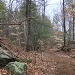 Pape Reservation