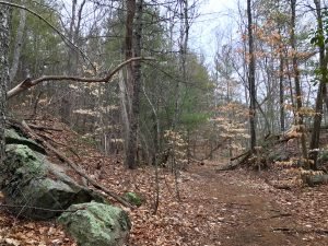 Pape Reservation Cohasset