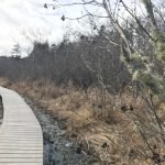 Canoe Club Preserve