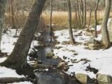 Cole Conservation Land