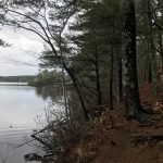 North Hill Marsh Wildlife Sanctuary