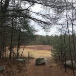 North Hill Marsh Wildlife Sanctuary