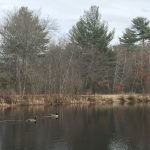 North Hill Marsh Wildlife Sanctuary