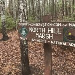 North Hill Marsh Wildlife Sanctuary