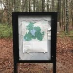 North Hill Marsh Wildlife Sanctuary