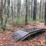 North Hill Marsh Wildlife Sanctuary