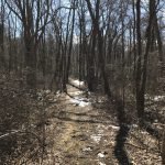 Ingram Park