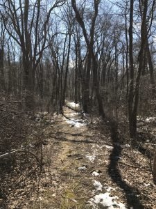 Ingram Park Cohasset
