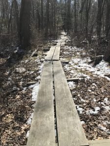 Ingram Park Cohasset