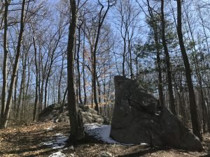 Ingram Park Cohasset