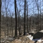 Ingram Park