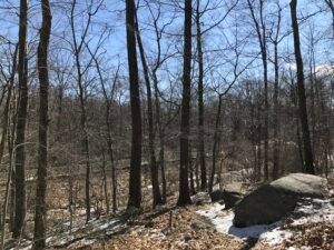 Ingram Park Cohasset