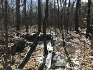 Ingram Park Cohasset