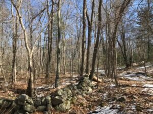 Ingram Park Cohasset