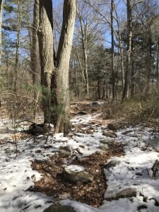 Ingram Park Cohasset