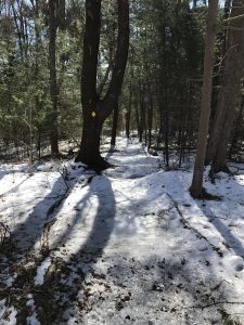 Ingram Park Cohasset