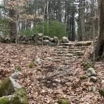 Fogg Forest and Carleton Property