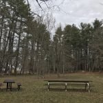 Fogg Forest and Carleton Property