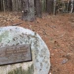 Fogg Forest and Carleton Property