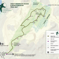 Great Brewster Woods & Dean’s Meadow