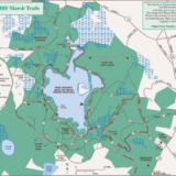 North Hill Marsh Wildlife Sanctuary