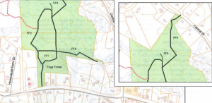 Fogg Forest Trail Map Norwell