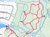 Webster’s Wilderness