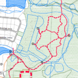 Webster’s Wilderness