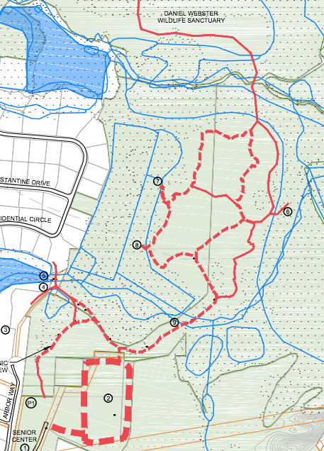 Webster’s Wilderness