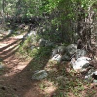 Stetson Meadows