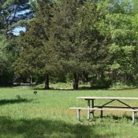 Stetson Meadows