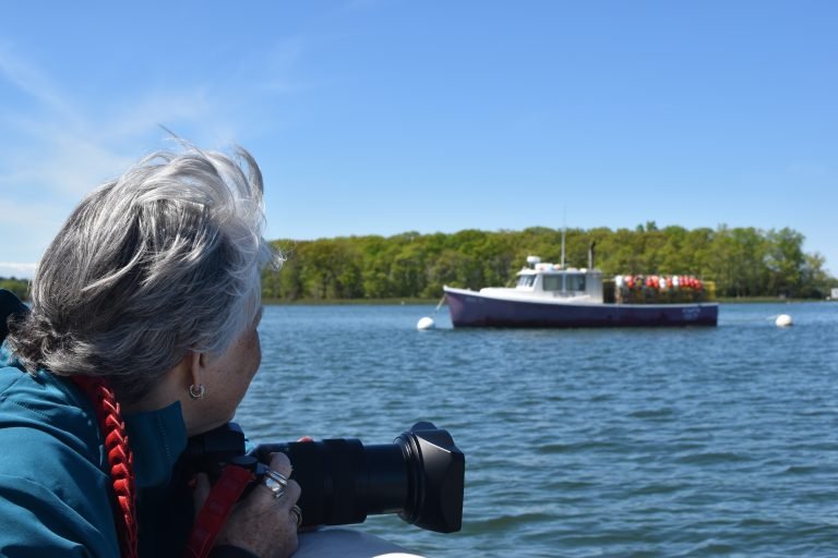 Birdwatching on the South Shore: A Beginner’s Guide