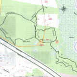 Stetson Meadows
