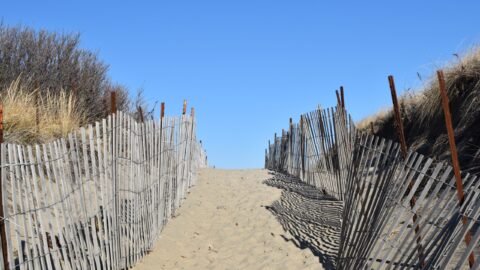 Rexhame Beach Trail
