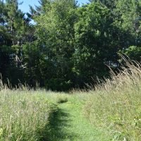 Cushman Preserve