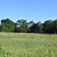 Cushman Preserve
