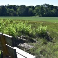Cushman Preserve