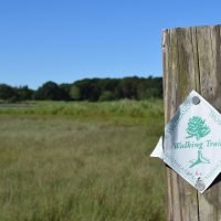 Cushman Preserve