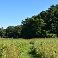 Cushman Preserve
