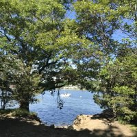 Stodder’s Neck