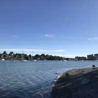 Stodder’s Neck