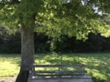 Stodder’s Neck