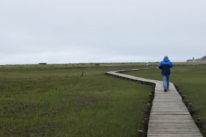 The Spit Scituate - South Shore Trails