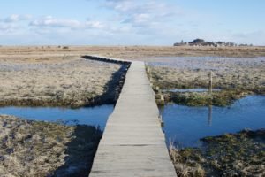 The Spit Scituate - South Shore Trails