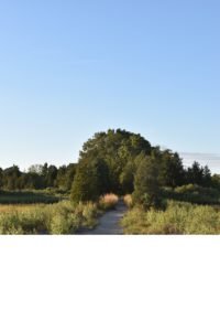 Driftway Scituate - South Shore Trails