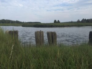 Driftway Scituate - South Shore Trails